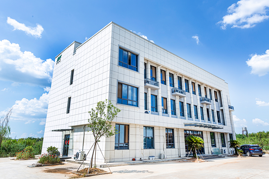 Company Real Picture